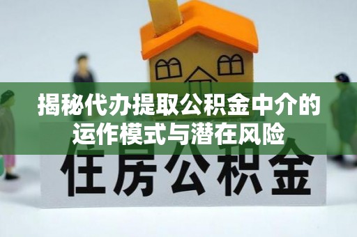 玛家揭秘代办提取公积金中介的运作模式与潜在风险
