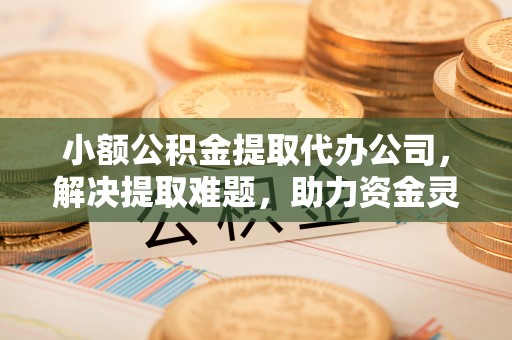 玛家小额公积金提取代办公司，解决提取难题，助力资金灵活使用