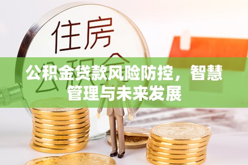 玛家公积金贷款风险防控，智慧管理与未来发展