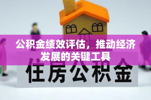玛家公积金绩效评估，推动经济发展的关键工具