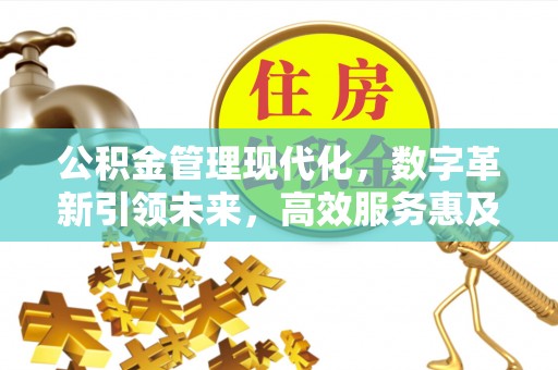 玛家公积金管理现代化，数字革新引领未来，高效服务惠及民生