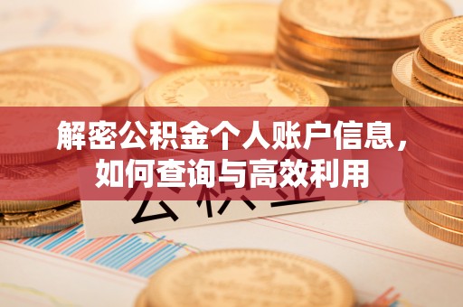 玛家解密公积金个人账户信息，如何查询与高效利用