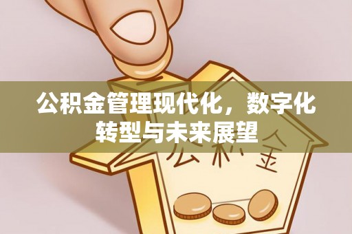 玛家公积金管理现代化，数字化转型与未来展望