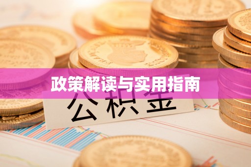 玛家政策解读与实用指南