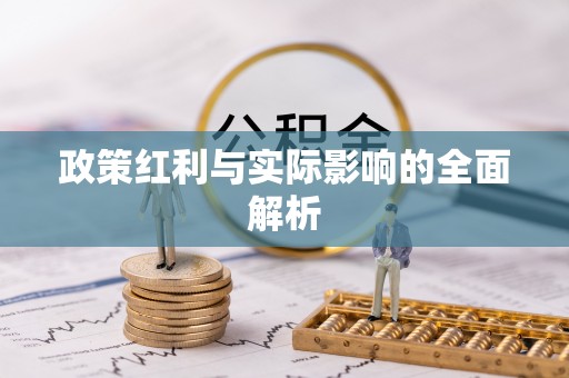 玛家政策红利与实际影响的全面解析