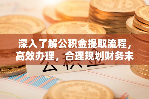 玛家深入了解公积金提取流程，高效办理，合理规划财务未来