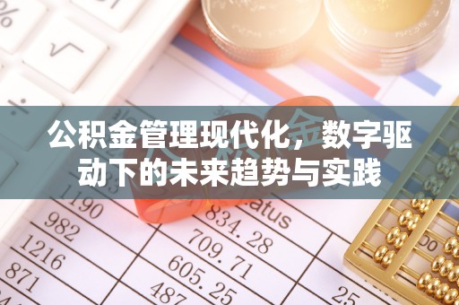 玛家公积金管理现代化，数字驱动下的未来趋势与实践
