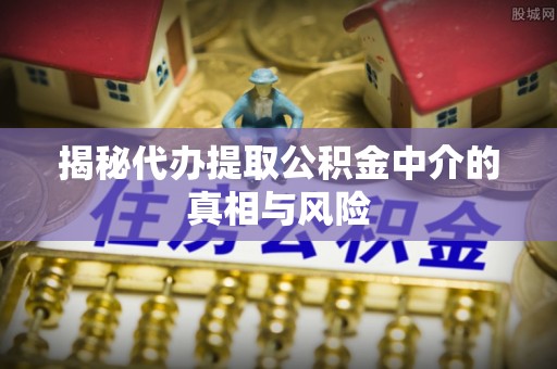 玛家揭秘代办提取公积金中介的真相与风险