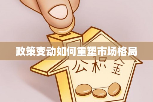 玛家政策变动如何重塑市场格局