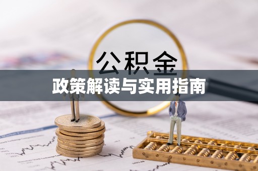 玛家政策解读与实用指南