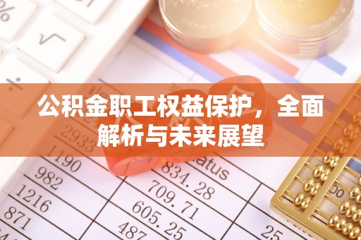 玛家公积金职工权益保护，全面解析与未来展望
