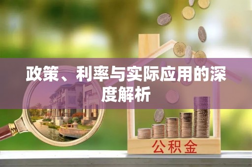 玛家政策、利率与实际应用的深度解析