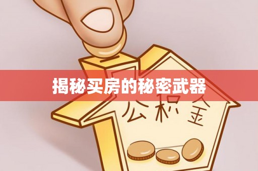 玛家揭秘买房的秘密武器