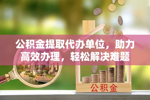 玛家公积金提取代办单位，助力高效办理，轻松解决难题