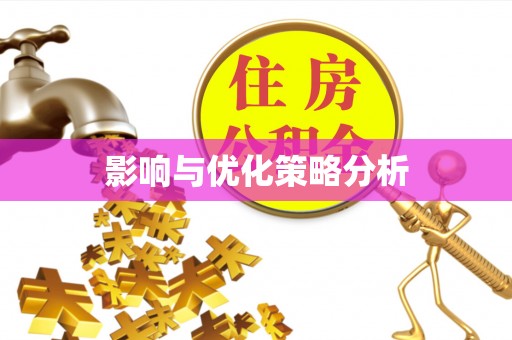 玛家影响与优化策略分析