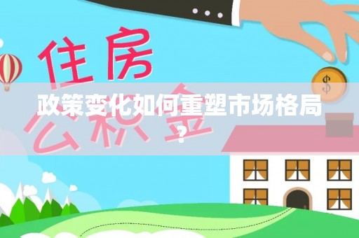 玛家政策变化如何重塑市场格局？