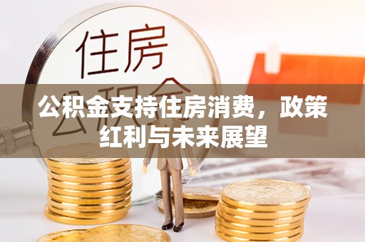 玛家公积金支持住房消费，政策红利与未来展望