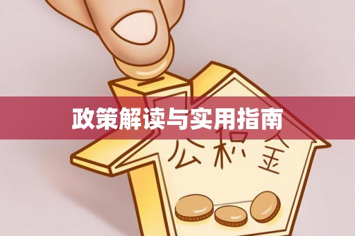 玛家政策解读与实用指南