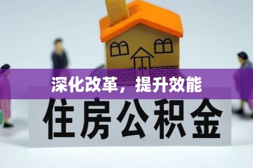 玛家深化改革，提升效能