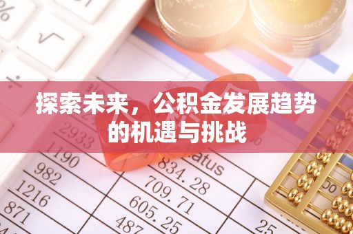 玛家探索未来，公积金发展趋势的机遇与挑战
