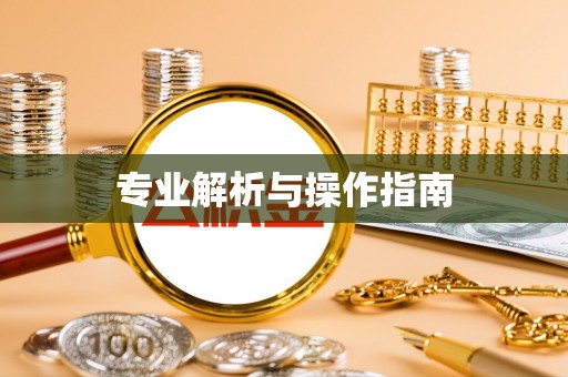 玛家专业解析与操作指南