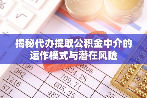 玛家揭秘代办提取公积金中介的运作模式与潜在风险