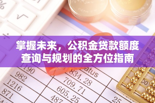 玛家掌握未来，公积金贷款额度查询与规划的全方位指南