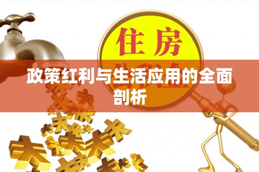 玛家政策红利与生活应用的全面剖析