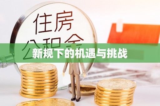 玛家新规下的机遇与挑战