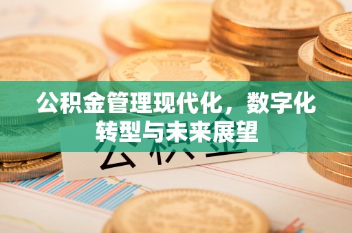 玛家公积金管理现代化，数字化转型与未来展望