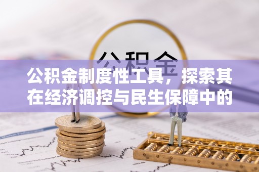 玛家公积金制度性工具，探索其在经济调控与民生保障中的重要作用
