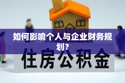 玛家如何影响个人与企业财务规划？