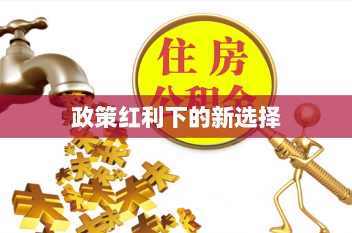 玛家政策红利下的新选择