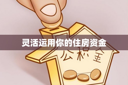 玛家灵活运用你的住房资金