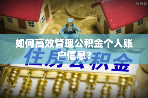 玛家如何高效管理公积金个人账户信息？