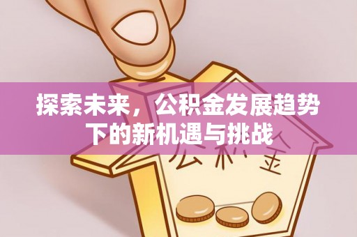 玛家探索未来，公积金发展趋势下的新机遇与挑战