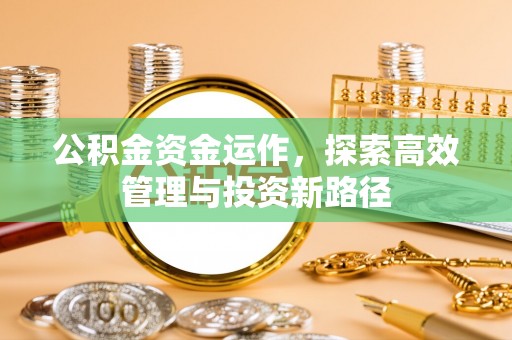 玛家公积金资金运作，探索高效管理与投资新路径