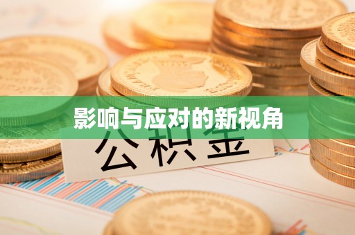 玛家影响与应对的新视角
