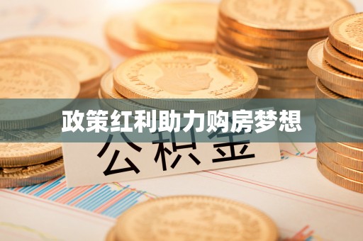 玛家政策红利助力购房梦想
