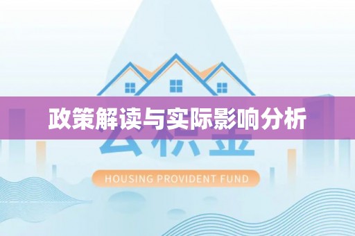 玛家政策解读与实际影响分析