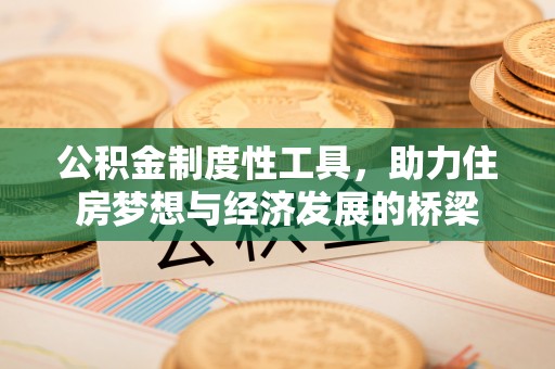 玛家公积金制度性工具，助力住房梦想与经济发展的桥梁