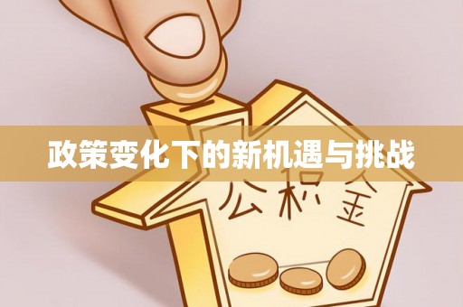 玛家政策变化下的新机遇与挑战