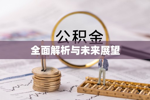 玛家全面解析与未来展望