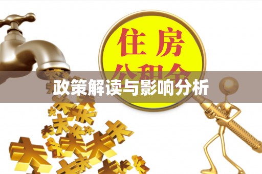 玛家政策解读与影响分析
