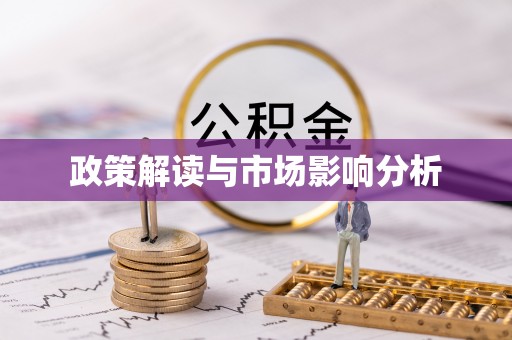 玛家政策解读与市场影响分析