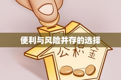 玛家便利与风险并存的选择