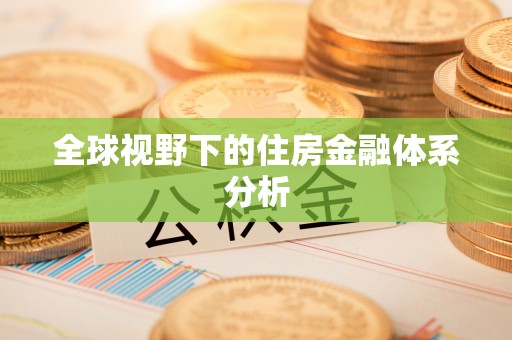 玛家全球视野下的住房金融体系分析