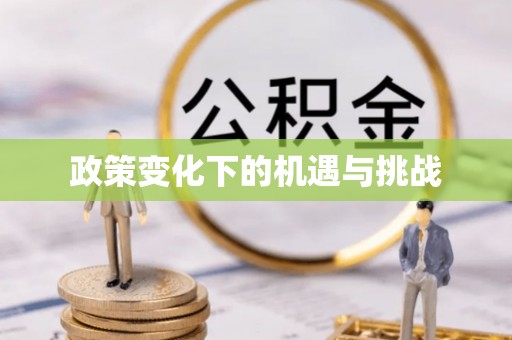 玛家政策变化下的机遇与挑战