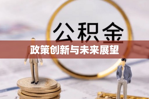 玛家政策创新与未来展望