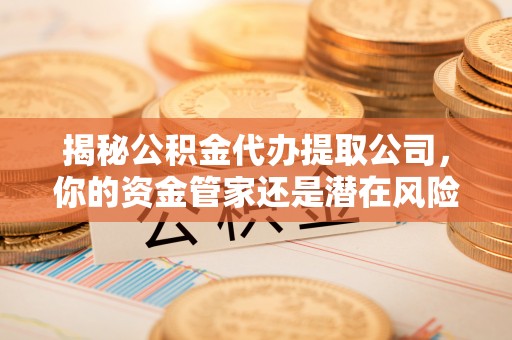 玛家揭秘公积金代办提取公司，你的资金管家还是潜在风险？
